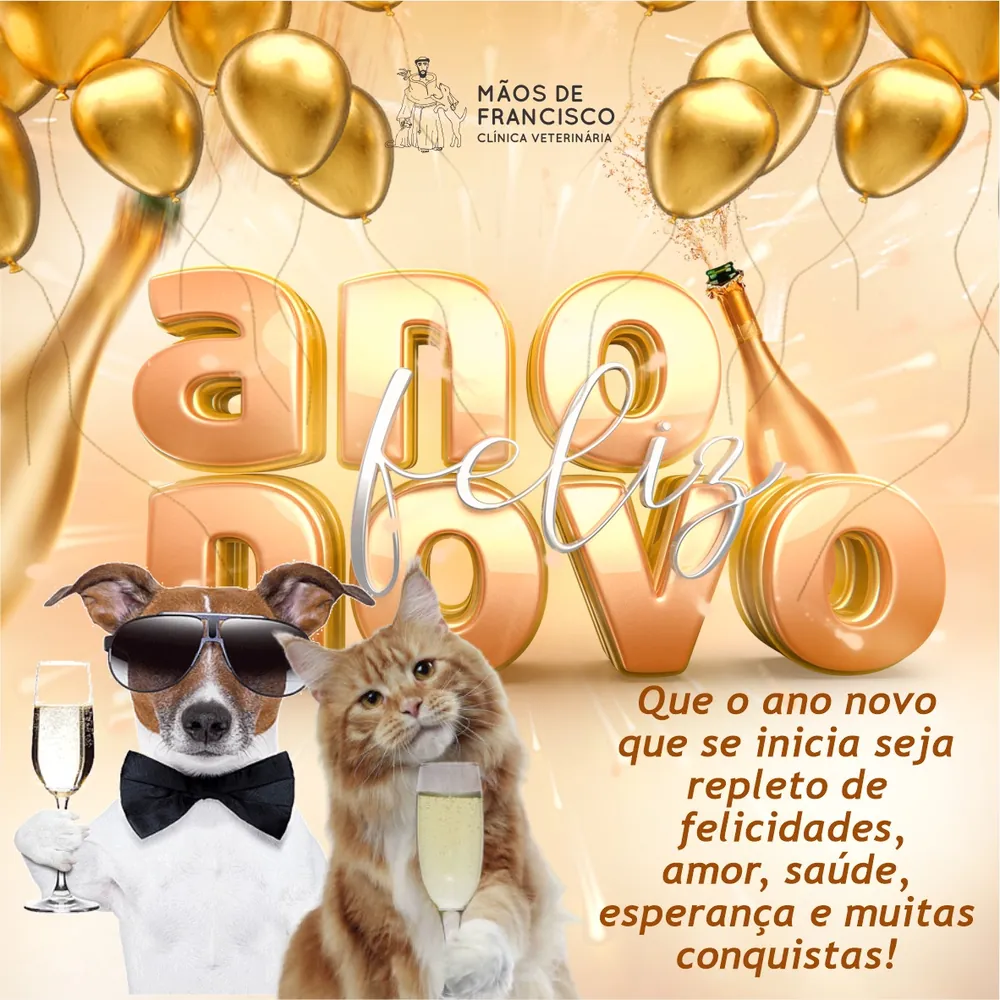 Feliz Ano Novo — Mãos de Francisco