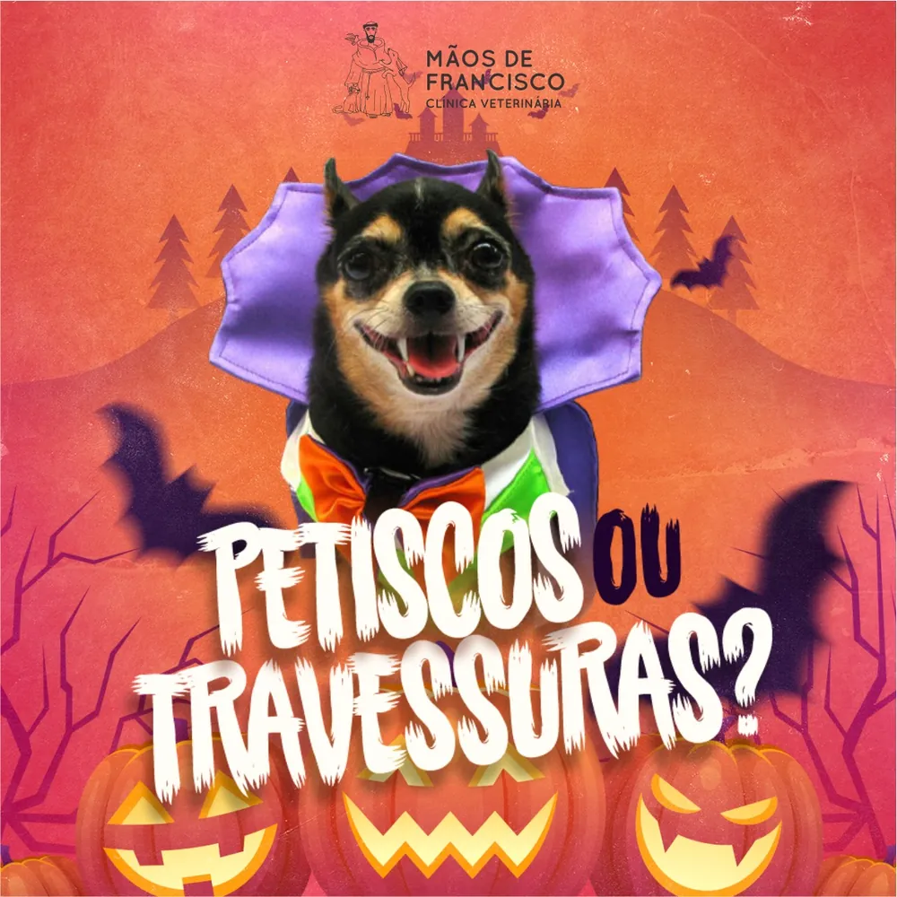 Petiscos ou travessuras? — Mãos de Francisco