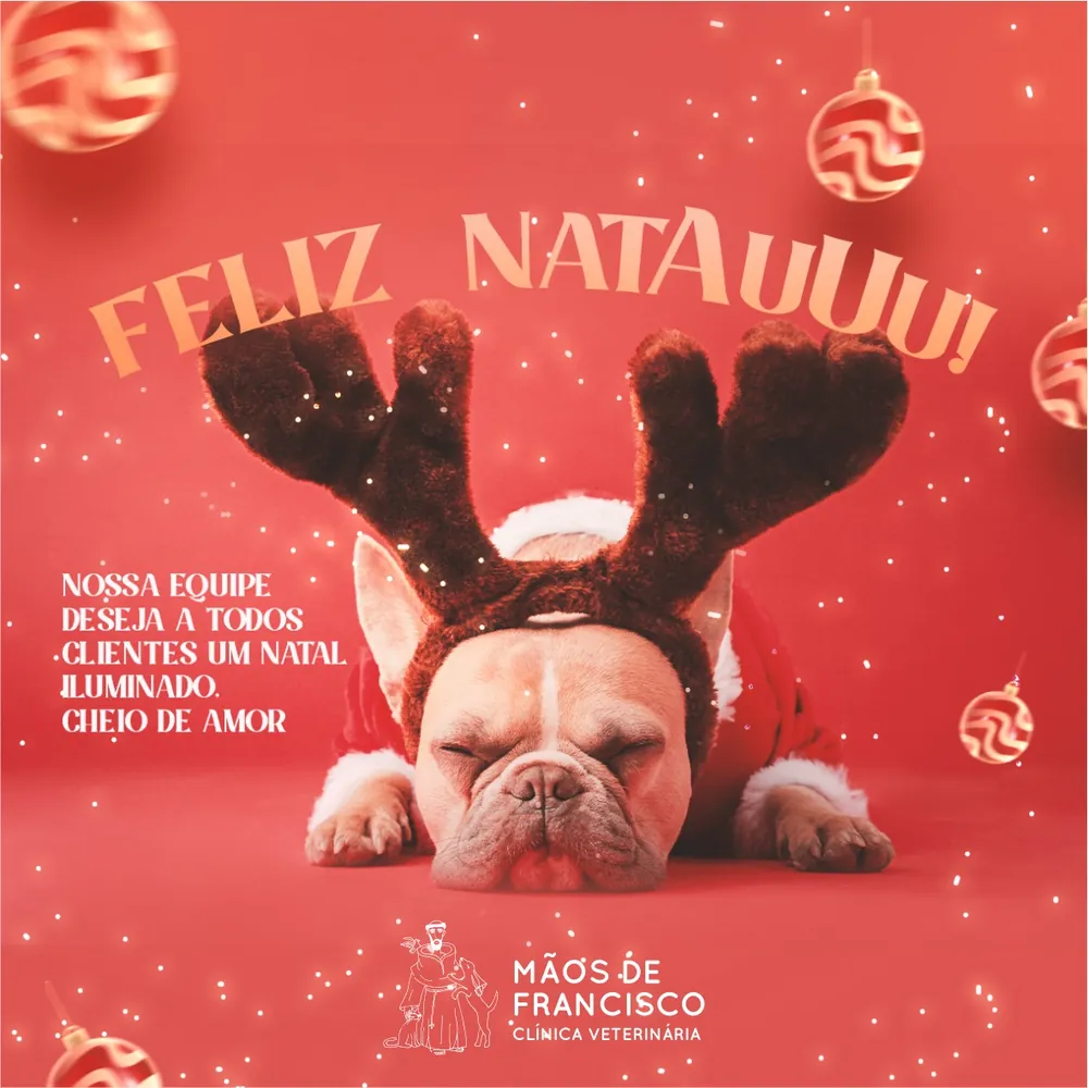 Feliz Natauuu — Mãos de Francisco